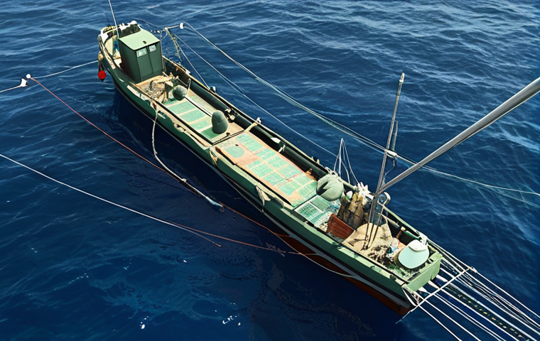 Sustainable Fishing Technology**
Prompt: Satellite view of fishing boats equipped with GPS trackers in the Mediterranean Sea, highlighting marine protected areas. Modern fishing nets with selective meshes, reducing bycatch. Focus on innovation and environmental responsibility. Realistic style.
**